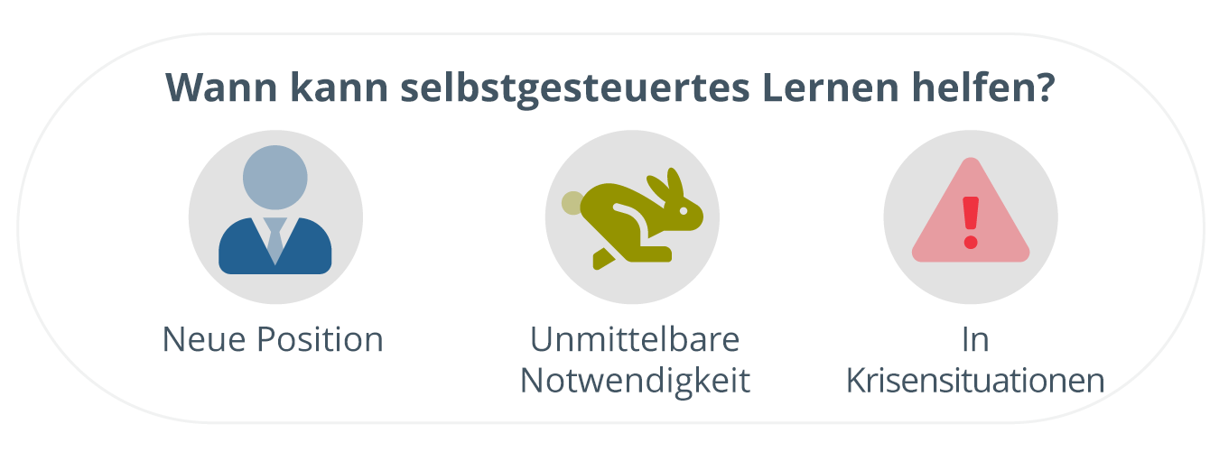 Wann kann selbstgesteuerte Führungskräfteentwicklung helfen? Oben als Titel geschrieben, mit drei Symbolen für jede Instanz darunter: ein professionelles Geschäftsmann-Symbol für New Role, ein Kaninchen mitten im Laufen für Immediate Need und ein Ertragssymbol für In Crisis